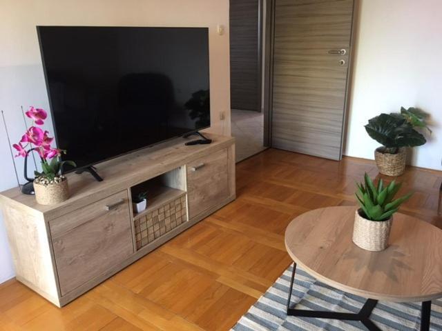 Nela Apartman Veprinac